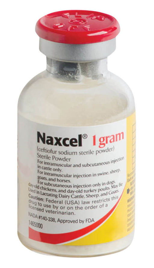 Rx Naxcel - "Naxcel Sterile Powder Rx, 1 gram"  