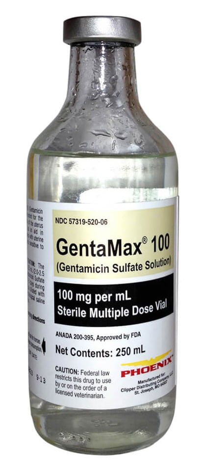 Rx Gentamax - Rx Gentamax 100mg/ml injection x 250 ml bottle  