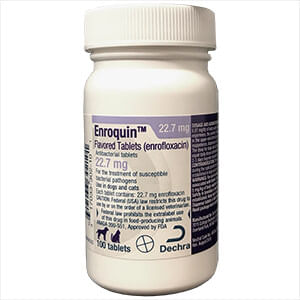 Rx Enroquin Tablets for Dogs and Cats - Rx Enroquin, 22.7mg x 1 Tablet  