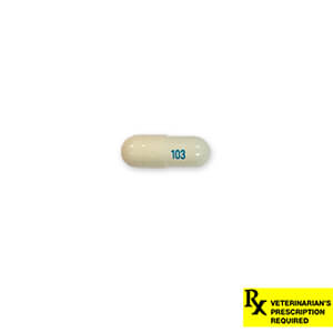 Rx Gabapentin Capsules - Rx Gabapentin, 100mg X 1 Capsule  