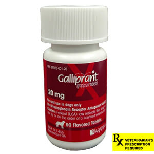 Rx Galliprant for Dogs - Rx Galliprant, 20mg x 90 Tablets  