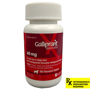 Rx Galliprant for Dogs - Rx Galliprant, 60mg x 90 Tablets  