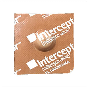 Interceptor Tablets for Dogs & Cats - Rx Interceptor, Dog 2-10 lb, 1 Tablet  