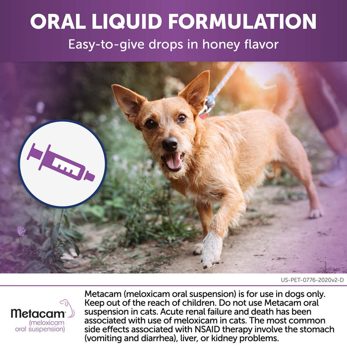 RX Metacam Oral Suspension - Rx Metacam Oral Susp, 1.5 mg/ml x 32 ml Bottle  