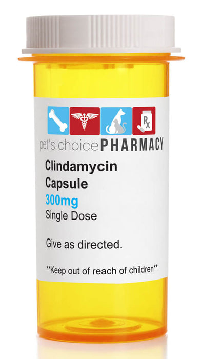 Clindamycin Capsules for Dogs - Rx Clindamycin 300mg x 1 capsule  