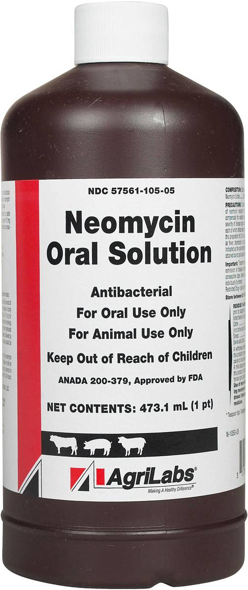 Rx Neomycin Oral Solution, 473ml -   