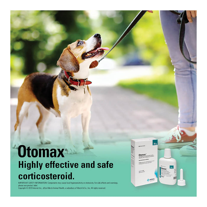 Rx Otomax Ointment - Rx Otomax Ointment, 30 gm  