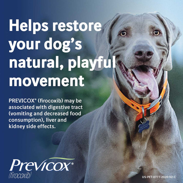 Rx Previcox Chew Tabs for Dogs - Rx Previcox, 227mg, 60 Chew Tabs  