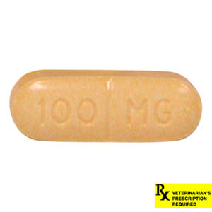 Rx Rimadyl Caplets - Rx Rimadyl, 100mg x 1 Caplet  