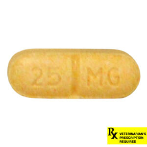 Rx Rimadyl Caplets - RX Rimadyl, 25mg x 1 Caplet  