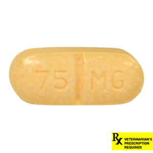 Rx Rimadyl Caplets - Rx Rimadyl, 75mg x 1 Caplet  