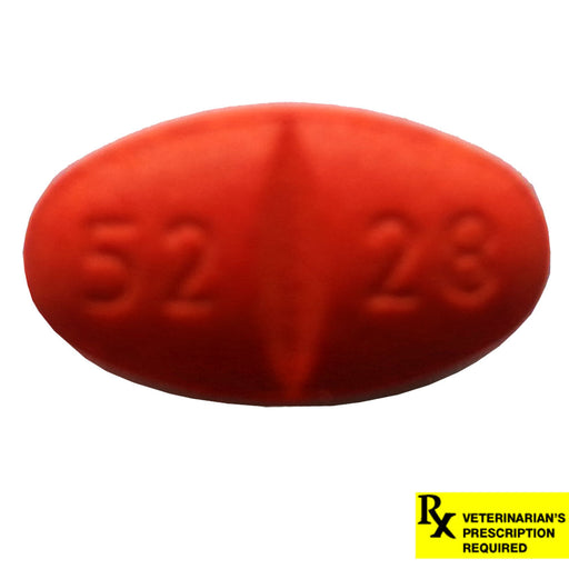 Rx Simplicef Tablet - Rx Simplicef, 100mg, 1 Tablet  