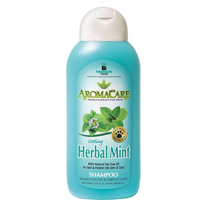 AromaCare Shampoo, 13.5 oz - Mint  