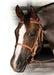 Professional's Choice Trail Bridle -   