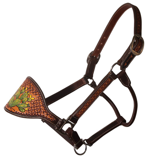 Cactus Bronc Nose Leather Halter - Horse  