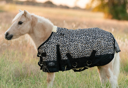 Equisential 600D Standard Neck Mini & Pony Medium Weight Blanket, Cheetah - 36 in  