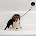 Dog Stay 'n Wash Grooming Noose -   