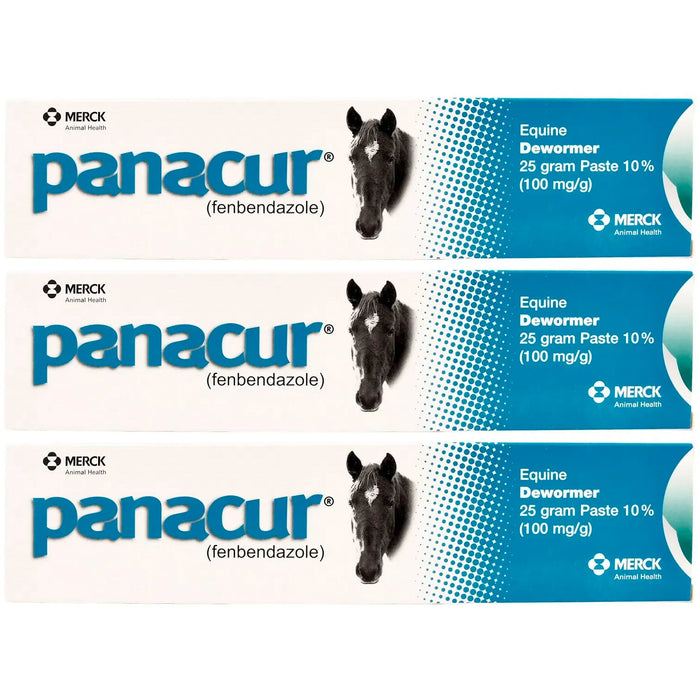 Panacur Horse Wormer Paste, 25 g - 3 Pack  