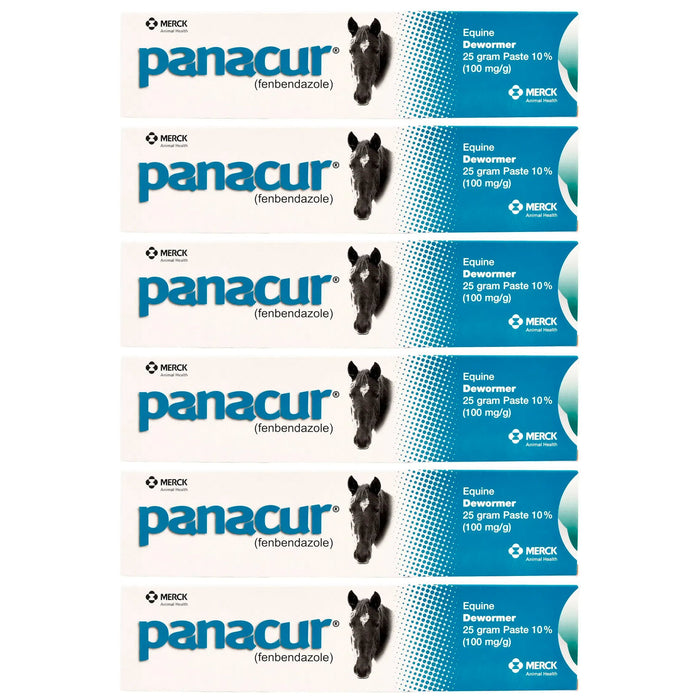 Panacur Horse Wormer Paste, 25 g - 6 Pack  