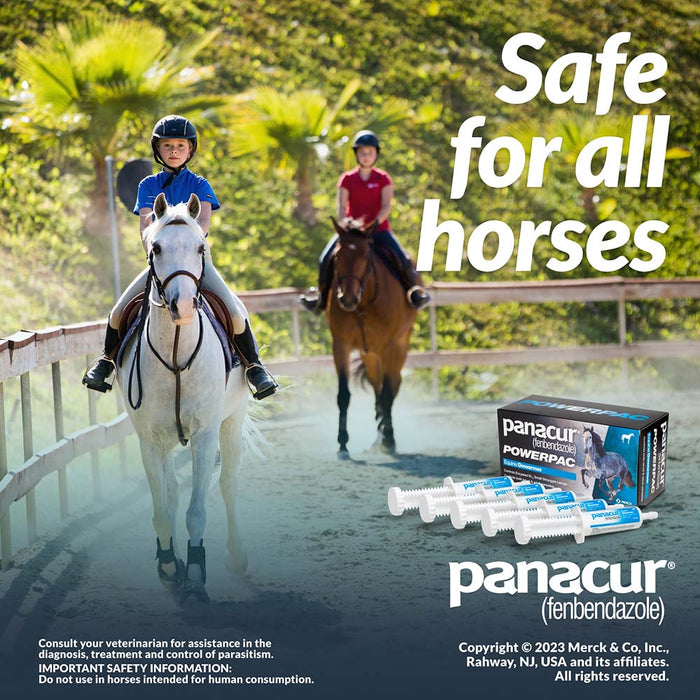 Panacur Powerpac Horse Dewormer -   