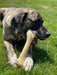 Nylabone DuraChew Monster Bone -   