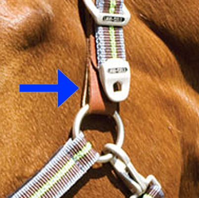 Replacement Tab for Breakaway Halter -   