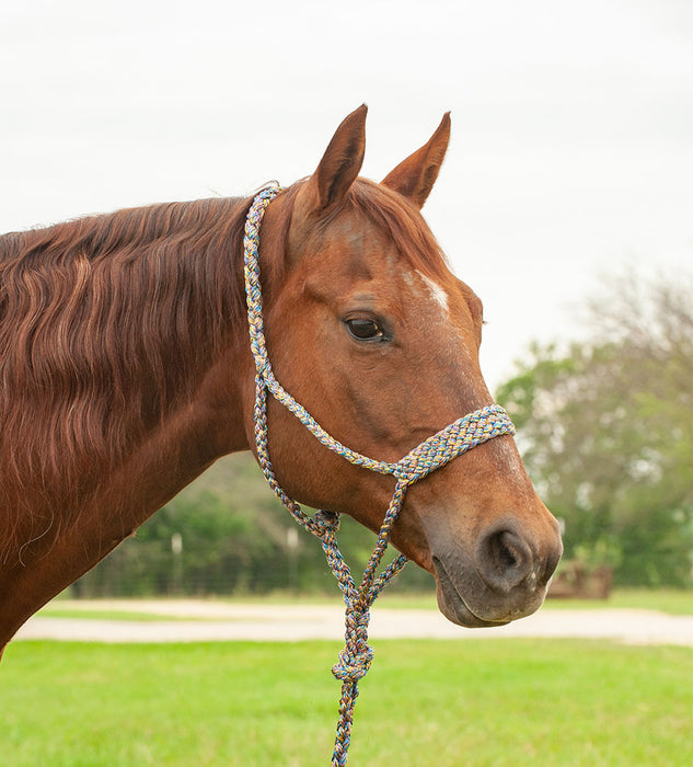 Braided Mule Tape Halter w/ 9' Lead - Mardi Gras  