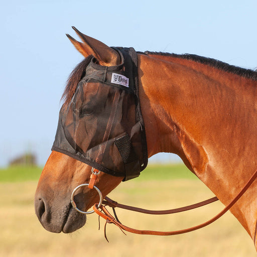 Cashel Quiet Ride Fly Mask without Ears, Black - Warmblood  