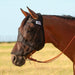 Quiet Ride Fly Mask with Long Nose Color Black