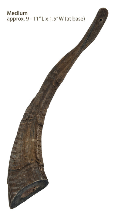 Gobi Goat Horn Natural Dog Chew - Medium  