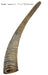 Gobi Goat Horn Natural Dog Chew - Medium  