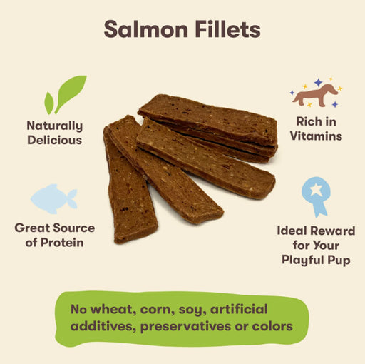 Pet n Shape Salmon Fillets, 16oz -   