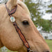 Circle Y Montana One Ear Headstall, Full - Vintage Brown Full 