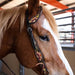 Circle Y Texas Grace One Ear Headstall, Full - Chocolate Brown Full 