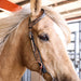 Circle Y Blooming Wild One Ear Headstall, Full - Vintage Brown Full 