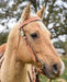 Circle Y Windsor Browband Headstall, Full - Light Brown Full 