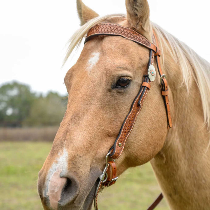 Circle Y Dawson Browband Headstall, Full - Old West Brown Full 