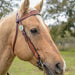 Circle Y Montana Browband Headstall, Full - Vintage Brown Full 