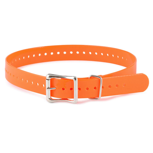 SportDOG Collar Strap, 1" x 27" - Orange  