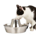 PetSafe Seaside Stainless Pet Fountain -   