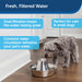 PetSafe Seaside Stainless Pet Fountain -   