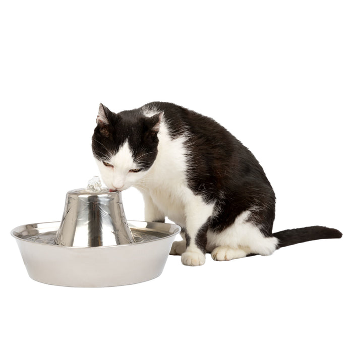 PetSafe Seaside Stainless Pet Fountain -   