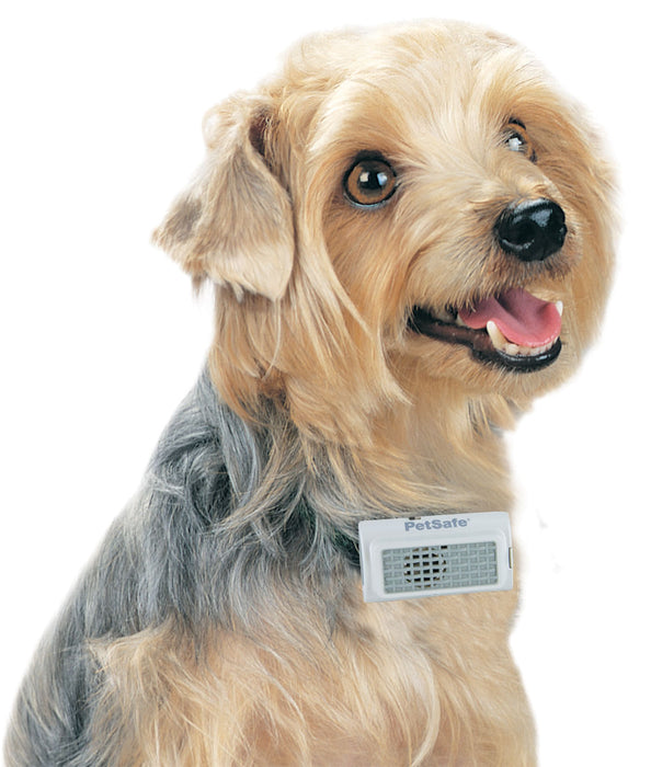 PetSafe Ultrasonic Bark Control Collar -   