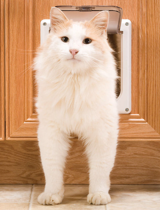 Cat Flap Pet Door - 