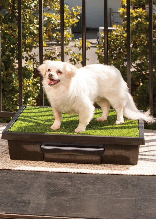 Pet Loo & Accessories - Small Pet Loo System  