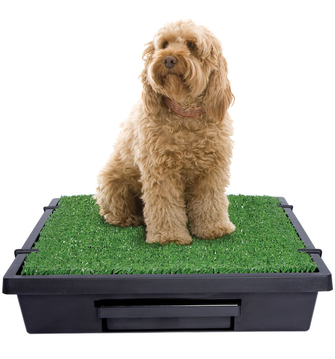 Pet Loo & Accessories - Medium Pet Loo System  