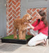 Pet Loo & Accessories - Large Pet Loo System  