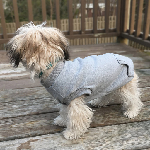 Activewear Sweatshirt - Gray Small 