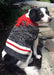 Twisted Yarn Dog Sweater - XSmall  