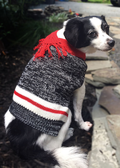 Twisted Yarn Dog Sweater - Small  